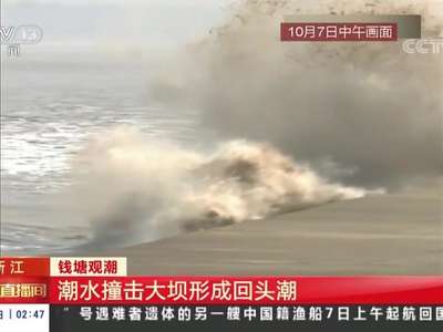 [视频]浙江 老盐仓：怒潮至此惊回头