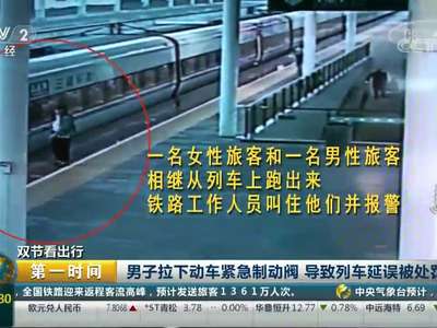 [视频]双节看出行：男子拉下动车紧急制动阀 导致列车延误被处罚