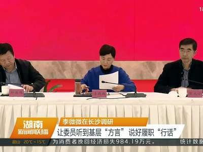 李微微在长沙调研 让委员听到基层“方言” 说好履职“行话”