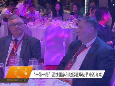 “一带一路”沿线国家和地区驻华使节来湘考察