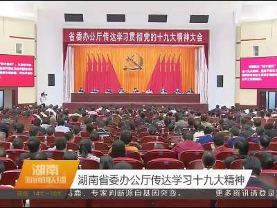 湖南省委办公厅传达学习十九大精神