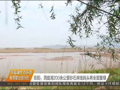 洞庭湖生态环境专项整治进行时 岳阳：洞庭湖200余公里砂石岸线码头将全面复绿