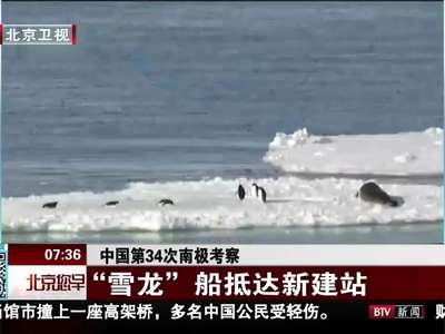 [视频]中国第34次南极考察 “雪龙”船抵达新建站