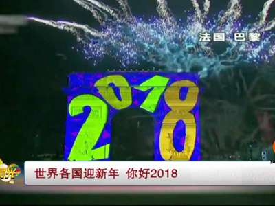 [视频]世界各国迎新年 你好2018