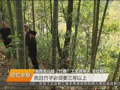 湘西龙山：土家竹雕