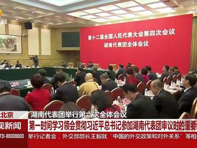 湖南代表团举行第六次全体会议 第一时间学习领会贯彻习近平总书记参加湖南代表团审议时的重要讲话精神