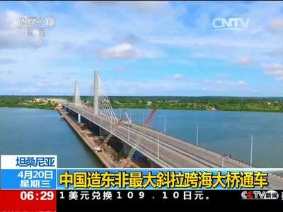 [视频]坦桑尼亚：中国造东非最大斜拉跨海大桥通车