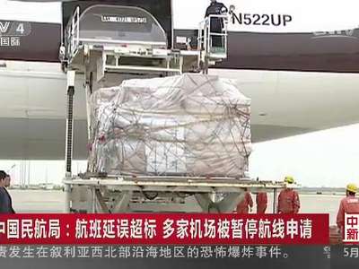 [视频]中国民航局：航班延误超标 多家机场被暂停航线申请