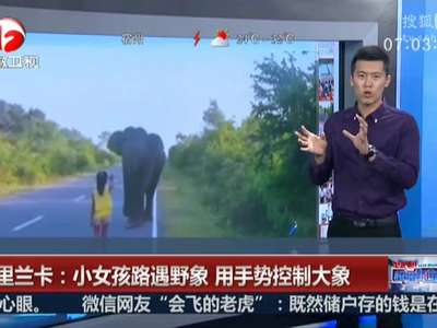 [视频]斯里兰卡：小女孩路遇野象 用手势控制大象
