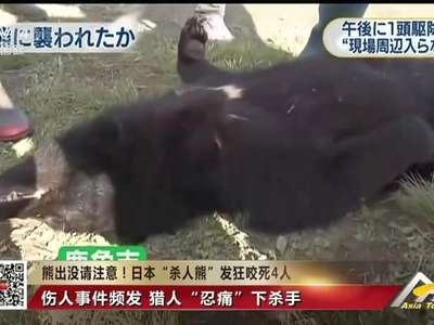 [视频]熊出没请注意！日本“杀人熊”发狂咬死4人