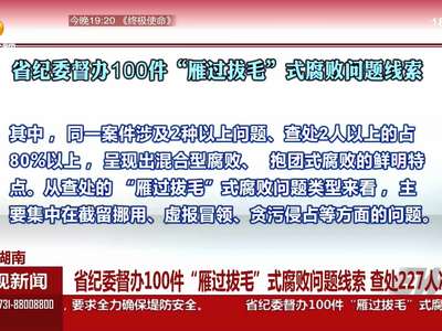 湖南：省纪委督办100件“雁过拔毛”式腐败问题线索 查处227人次