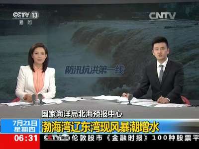 [视频]国家海洋局北海预报中心：渤海湾辽东湾现风暴潮增水