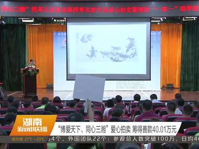 “博爱天下、同心三湘”爱心拍卖 筹得善款40.01万元