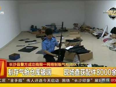长沙县警方成功捣毁一网络制贩气枪团伙
