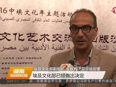 中埃文化艺术交流与出版沙龙 推动《艺术中国》“走出去”