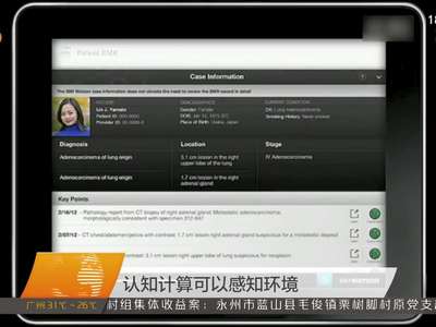 试说新语：认知计算