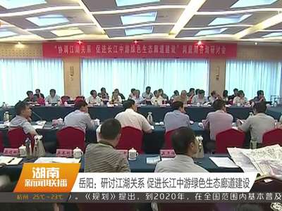 岳阳：研讨江湖关系 促进长江中游绿色生态廊道建设