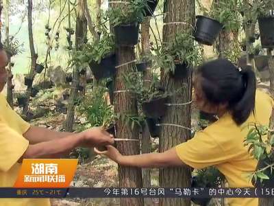 把钱花到“刀刃”上 湖南下放涉农资金统筹整合使用权限