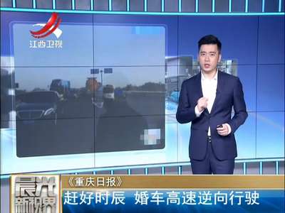 [视频]你倒是快点啊 黑猩猩这么着急 它想干啥？