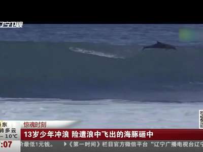 [视频]惊魂时刻！13岁少年冲浪 险遭浪中飞出的海豚“削顶”