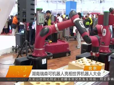 湖南瑞森可机器人亮相世界机器人大会