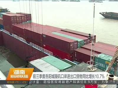 前三季度岳阳城陵矶口岸进出口货物同比增长10.7%
