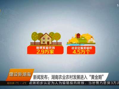 新闻发布：湖南农业农村发展进入“黄金期”