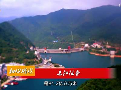 初心璀璨：东江往事