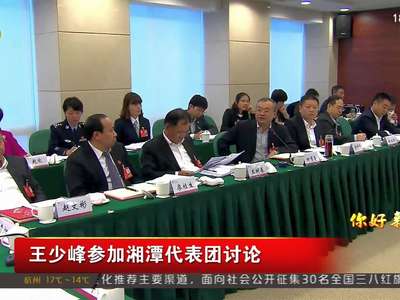王少峰参加湘潭代表团讨论