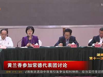 黄兰香参加常德代表团讨论