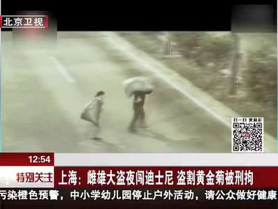 [视频]雌雄大盗夜闯迪士尼 盗割黄金菊被刑拘