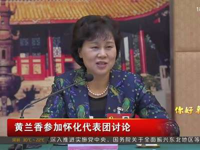 黄兰香参加怀化代表团讨论