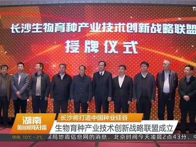 长沙将打造中国种业硅谷 生物育种产业技术创新战略联盟成立