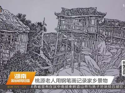 桃源老人用钢笔画记录家乡景物