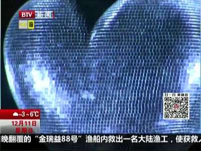 [视频]灯光秀启幕 英国皇家植物园变身梦幻森林