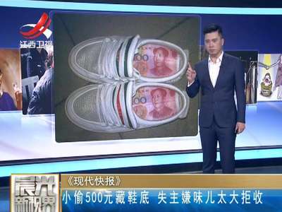 [视频]小偷500元藏鞋底 失主嫌味儿太大拒收