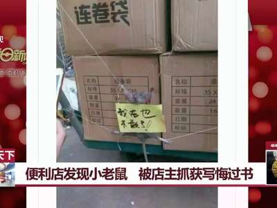 [视频]便利店发现小老鼠 被店主五花大绑写悔过书