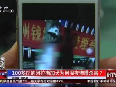 [视频]100多斤的阿拉斯加犬为何深夜惨遭杀害？