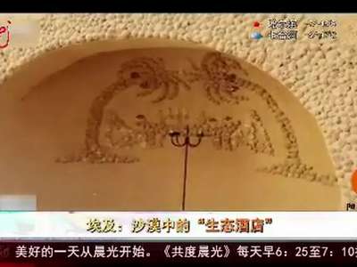 [视频]埃及：沙漠中的“生态酒店”