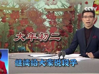 [视频]央视主播朱广权段子集锦：地球不爆炸 我们不放假 