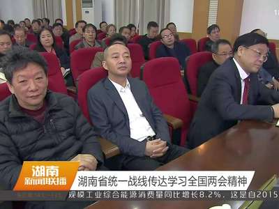 湖南省统一战线传达学习全国两会精神