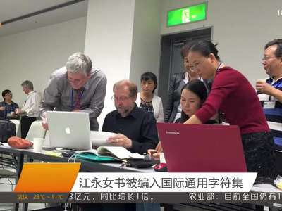 江永女书被编入国际通用字符集