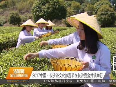 2017中国·长沙茶文化旅游节在长沙县金井镇举行