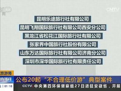 [视频]国家旅游局 公布20项“不合理低价游”典型案件
