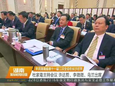 中共湖南省委十一届二次全会在长沙召开 杜家毫主持会议 许达哲、李微微、乌兰出席