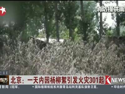 [视频]北京：一天内因杨柳絮引发火灾301起