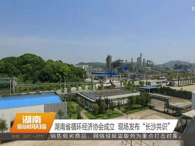 湖南省循环经济协会成立 现场发布“长沙共识”