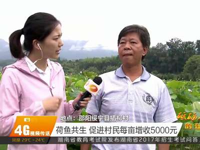 插柳村里鱼儿欢