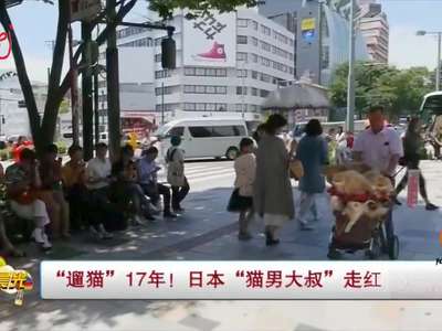 [视频]“遛猫”17年！日本“猫男大叔”走红