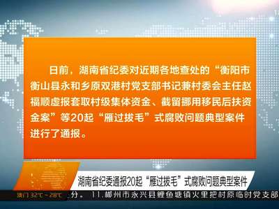 湖南省纪委通报20起“雁过拔毛”式腐败问题典型案件